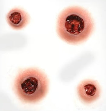 "Capped" Bullet Holes - Tinsley Transfers