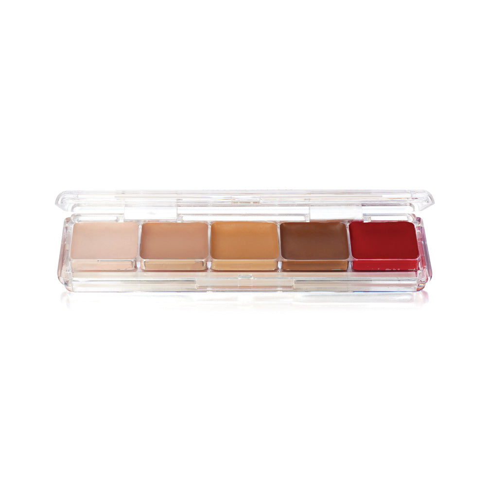 Alcohol Tattoo Cover Palette - Ben Nye