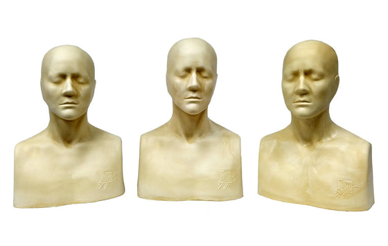 Alanna Head Life Size Sculpting Armature