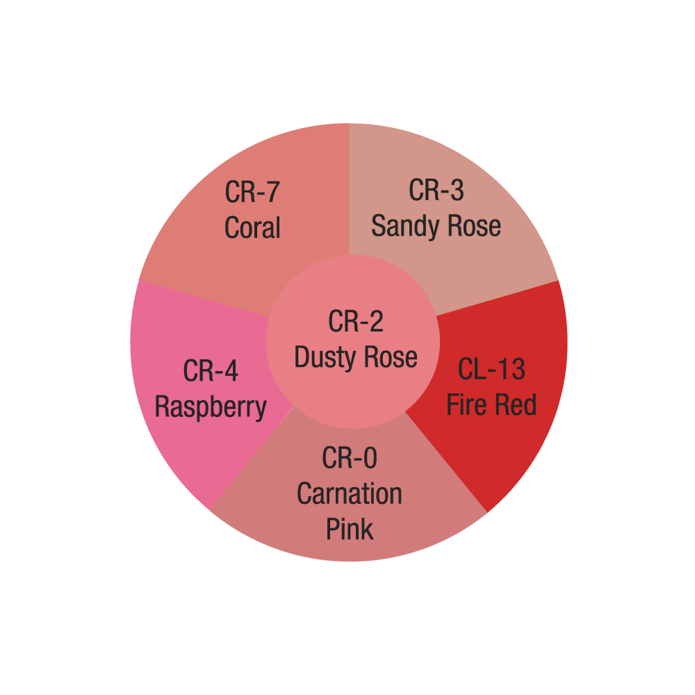 Creme Blush and Contour Wheels - Ben Nye