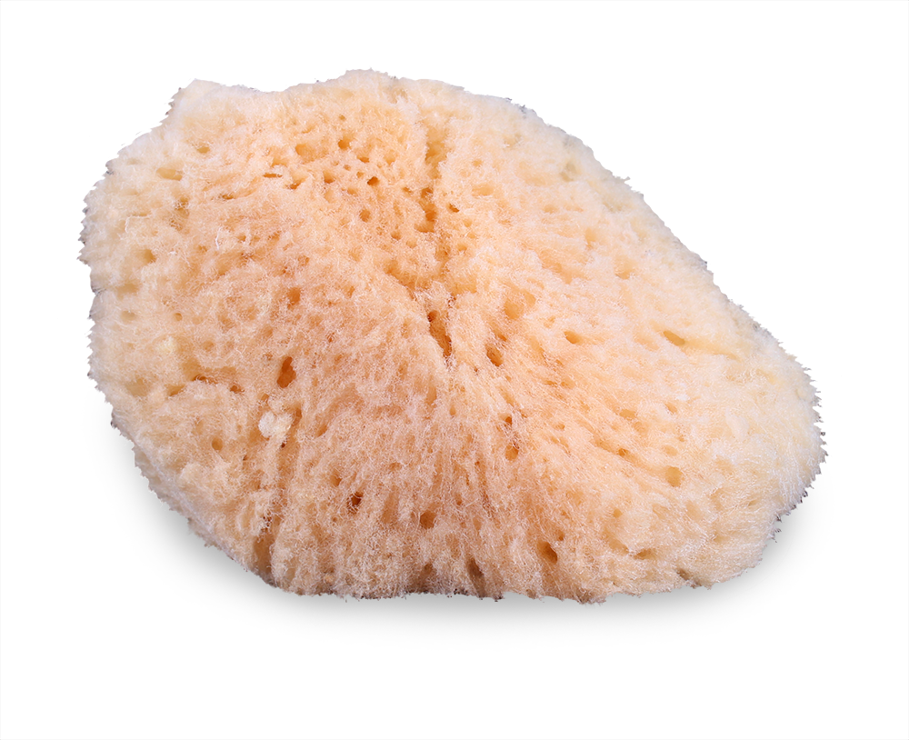 Mehron Natural Sea Sponge Applicator