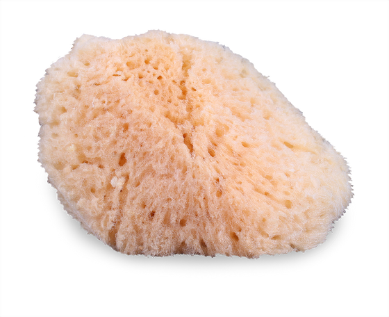 Mehron Natural Sea Sponge Applicator